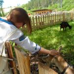 [en]: girl and goats